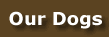 Litters